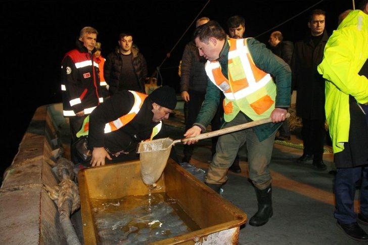 Bakan Demircan Ve Fakıbaba Denize Kalkan Yavrusu Bıraktı G5