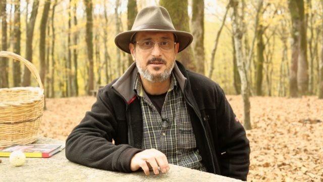 Kaç çeşit mantar vardır?