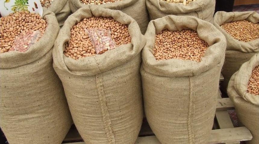 Osmaniye Yerfıstığında Kalite Standartları Arttırılıyor