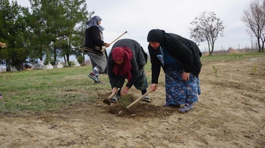 Kur&rsquo;an Kursu Kadın &Ouml;ğrencileri Mezarlığı Ağa&ccedil;landırdı