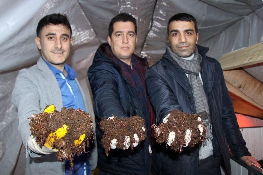 3 Arkadaş İnternette G&ouml;r&uuml;p "solucan" İşine Girdi Ayda 15 Bin Lira K&acirc;r Ediyor