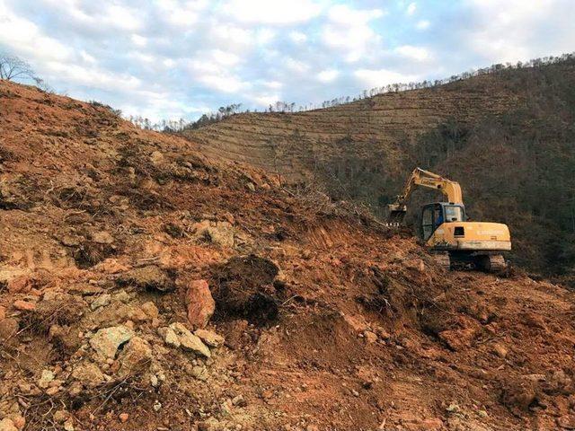 Yangında Zarar Gören Çamburnu’na 14 Bin Adet Sarıçam Fidanı Dikildi