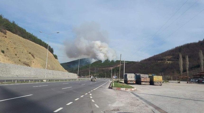 Orman Yangınları Aralıkta Da Bitmedi