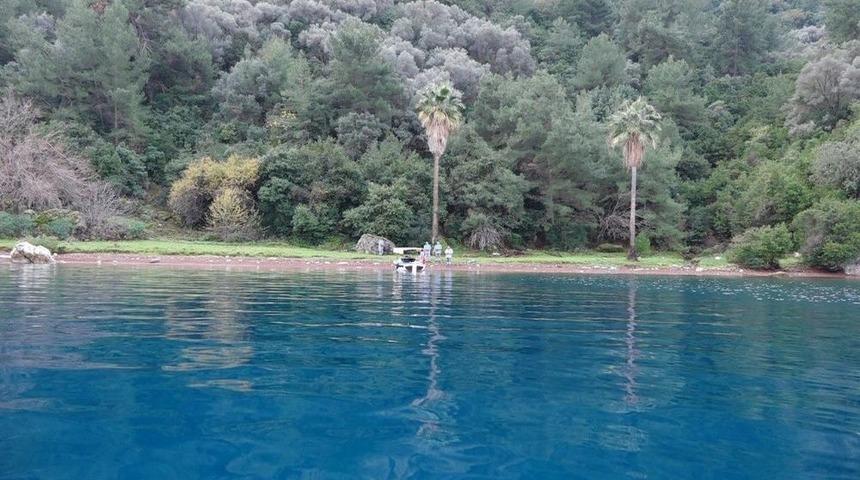 Duyarsızlık Adaları &Ccedil;&ouml;pl&uuml;ğe &Ccedil;eviriyor