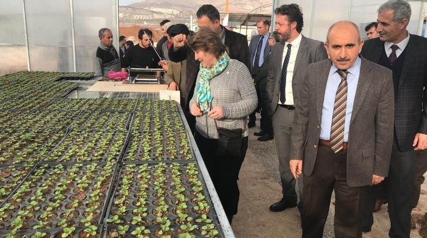 Bm Ve Undp&rsquo;nin T&uuml;rkiye Temsilcisinden Kilis&rsquo;e Ziyaret