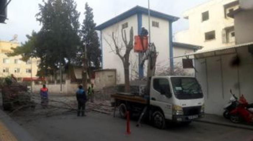 Kilis Belediyesi Ağa&ccedil;ları Budamaya Başladı