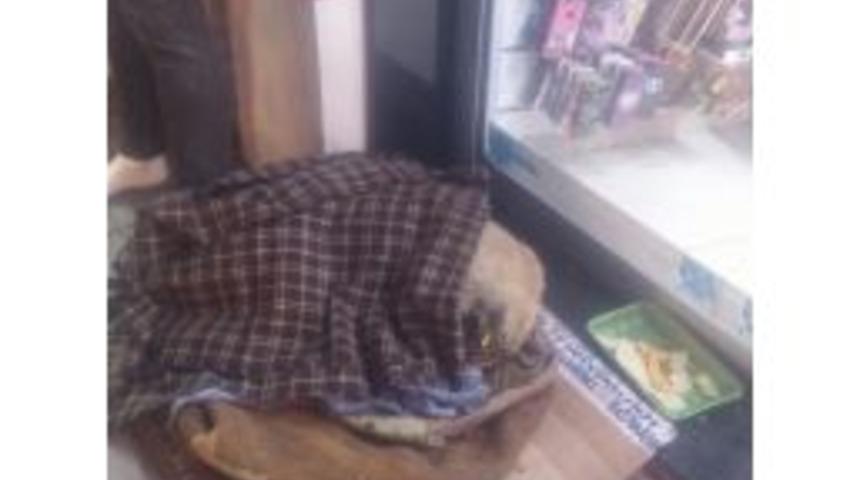 Hayvan Sevgisinin En Tatlı Fotoğrafı