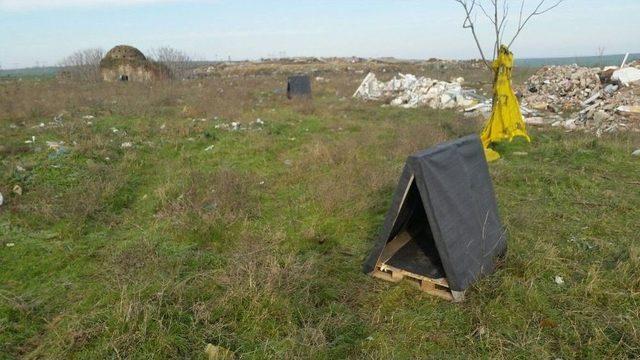 Edirne’de ‘sevimli Dostlar’ Yalnız Değil