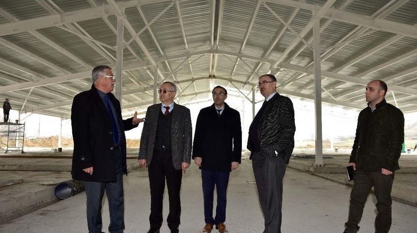 Mustafakemalpaşa Yeni Hayvan Pazarına Kavuşuyor