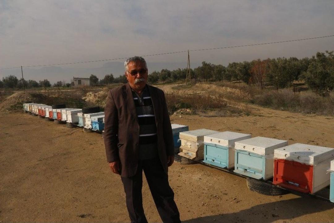 Mersin&rsquo;de Hırsızlar Arı Kovanlarına Dadandı