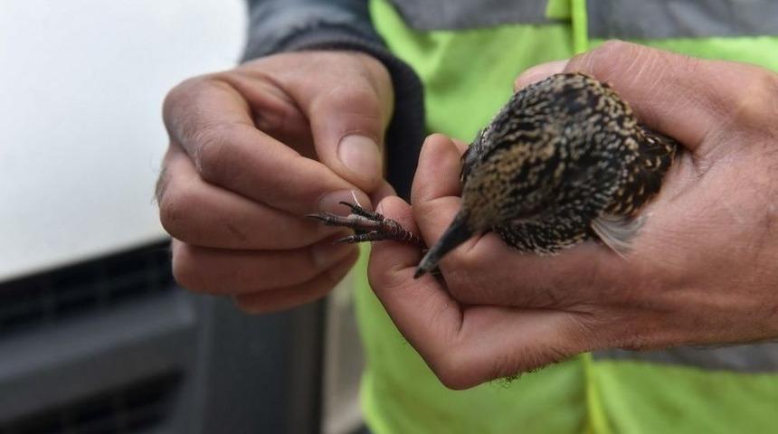 T&uuml;m &Ccedil;abalar Bir Can İ&ccedil;in