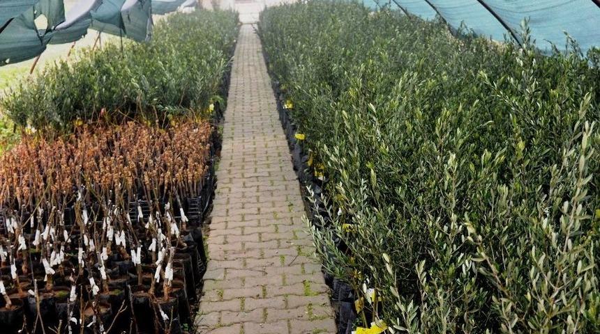 Yunusemre 2018 Yılında Da &Uuml;reticileri Sevindirecek