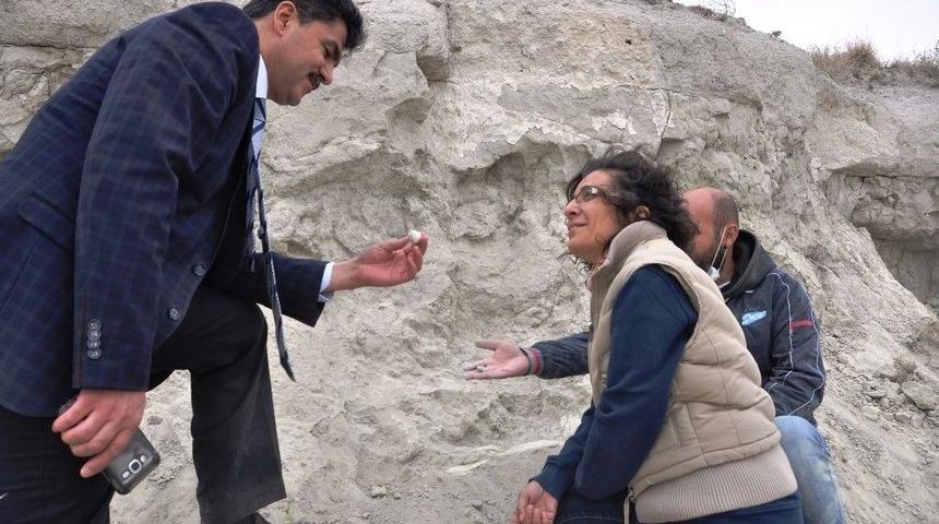 Afyonkarahisar&rsquo;da 9-12 Milyon Yıllık Hayvan Fosilleri Bulundu