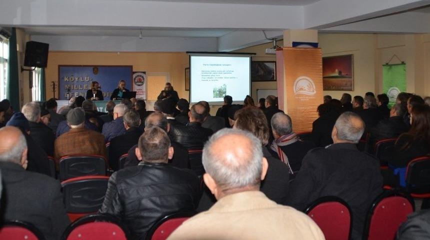 Bafra&rsquo;da Fındık Yetiştirme Teknikleri Anlatıldı