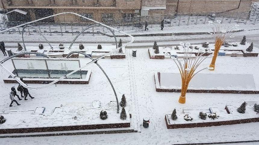 Erzurum Beyaza B&uuml;r&uuml;nd&uuml;