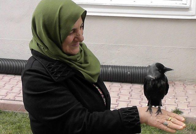 Yavruyken Balkonuna Düşen Kargaya Çocuğu Gibi Bakıyor