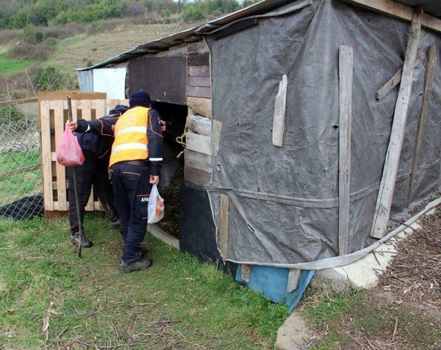 Kayıp Olan Yaşlı Adamı Arama Çalışmaları Sürüyor