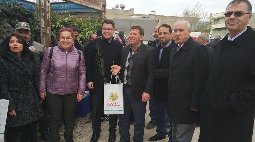 Perşembe Pazarında Fidan Dağıtımı