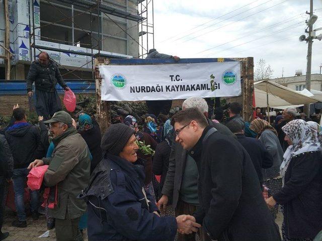 Perşembe Pazarında Fidan Dağıtımı