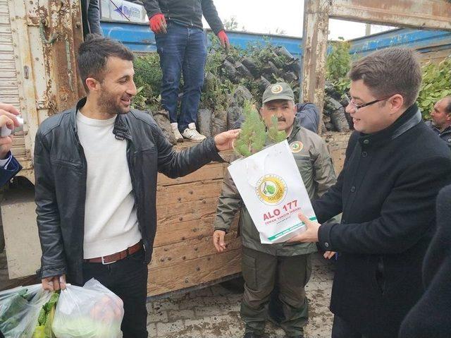 Perşembe Pazarında Fidan Dağıtımı