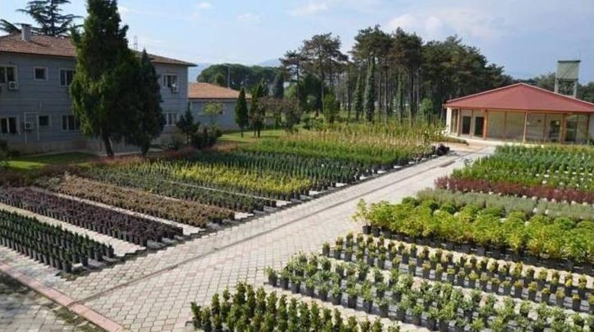 Samsun&rsquo;da 326 Bin Fidan Dikildi