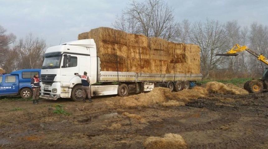 Jandarma Gece Vakti Su&ccedil;&uuml;st&uuml; Yakaladı