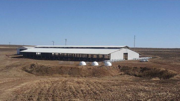 (özel) Hayvan Dışkısından Biyoenerji Üretimi G1