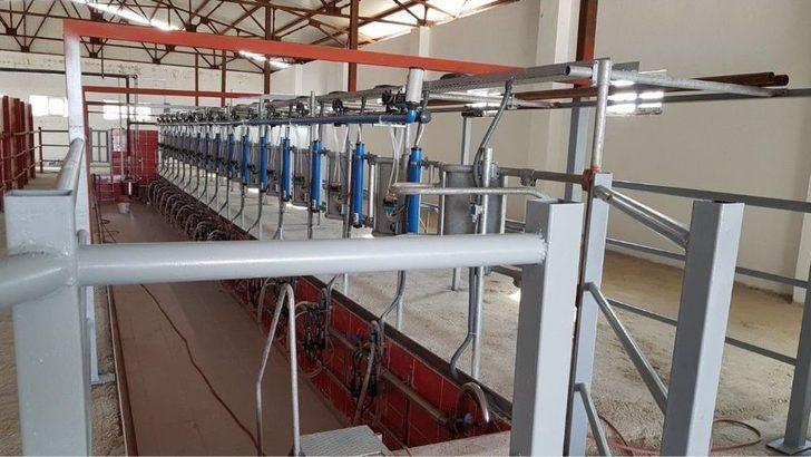 (özel) Hayvan Dışkısından Biyoenerji Üretimi G3