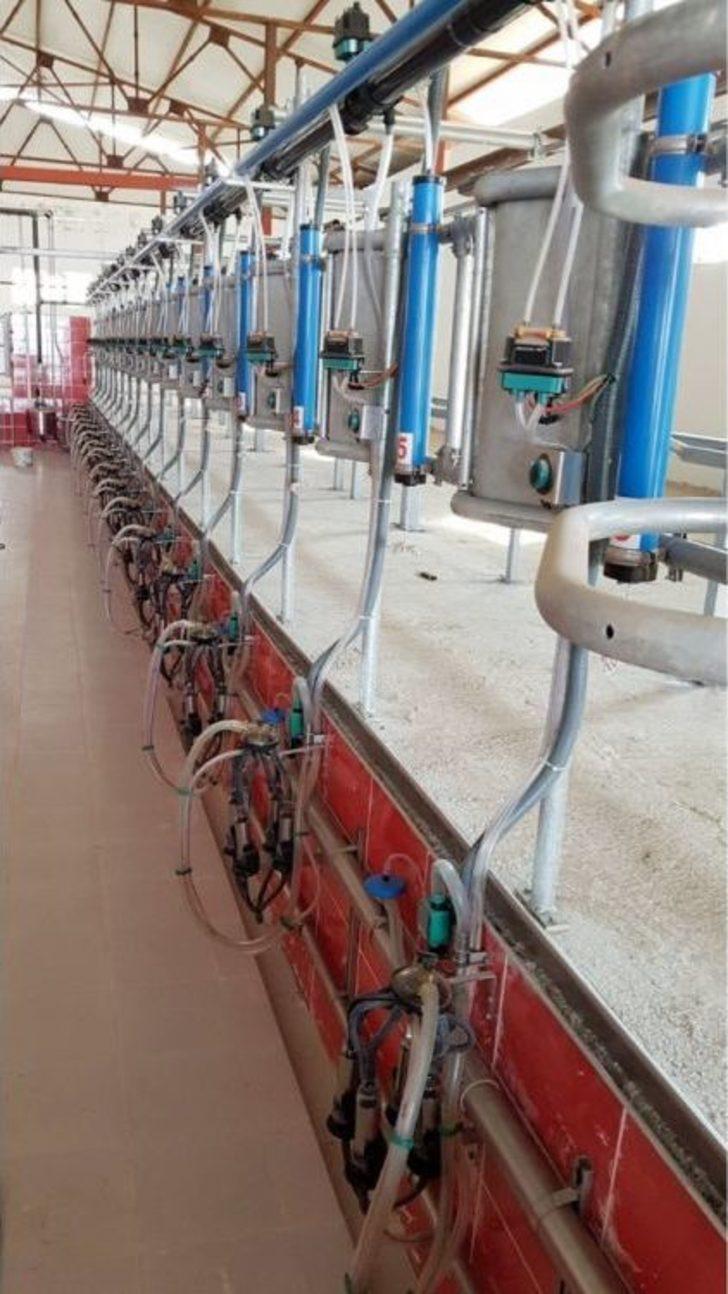 (özel) Hayvan Dışkısından Biyoenerji Üretimi G5