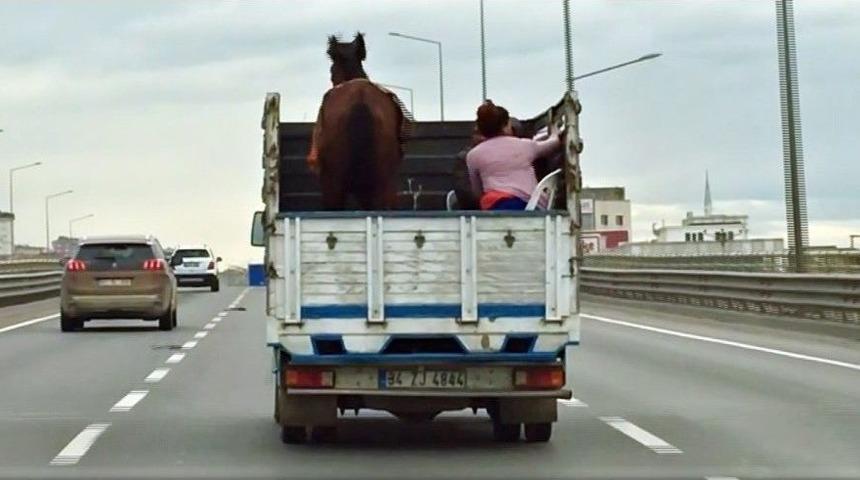 (&ouml;zel) 3 Kişilik Ailenin Kamyon Kasasında Atla Tehlikeli Yolculuğu Kamerada