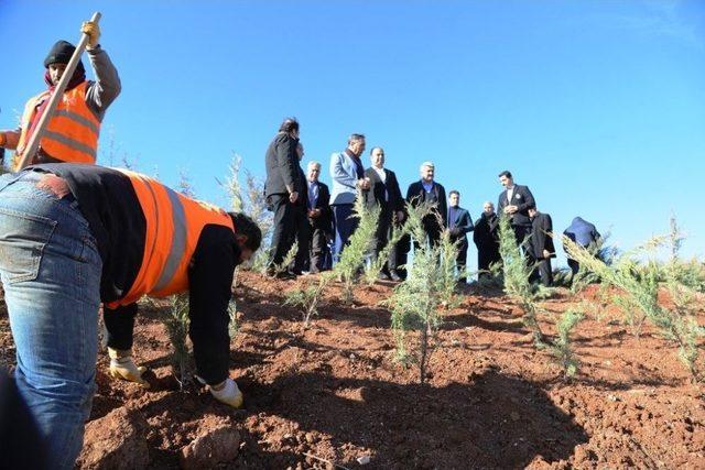 Gap Vadisinin 3’üncü Etap Çalışmalarında Sona Gelindi