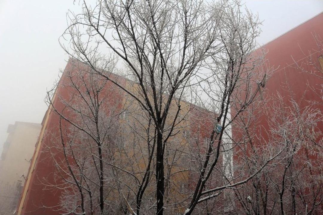 Ağrı&rsquo;da Soğuk Hava Ve Sis Etkili Oluyor