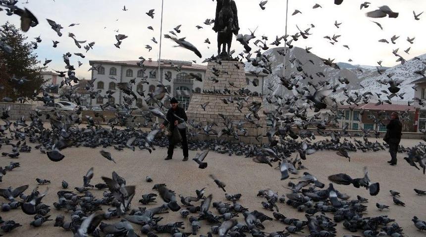 Soğuk Havada Yemsiz Kalan G&uuml;vercinleri Esnaf Doyuruyor