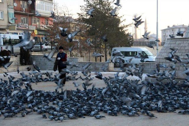 Soğuk Havada Yemsiz Kalan Güvercinleri Esnaf Doyuruyor