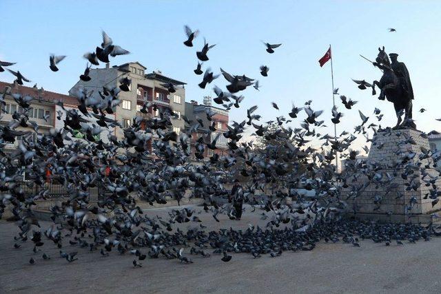 Soğuk Havada Yemsiz Kalan Güvercinleri Esnaf Doyuruyor