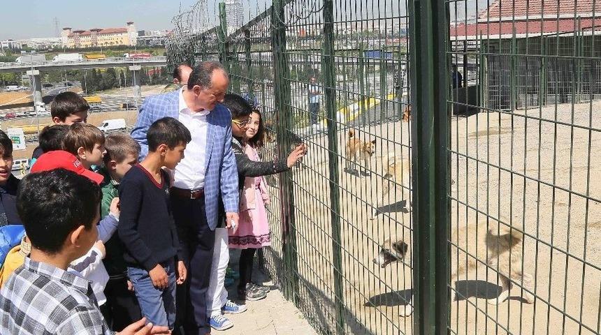 Bağcılar&rsquo;da 268 Sokak Hayvanı Sahiplendirildi