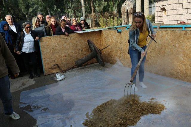 Toroslar’da ’sertifikalı Mantar Yetiştiriciliği Kursu’ Sürüyor