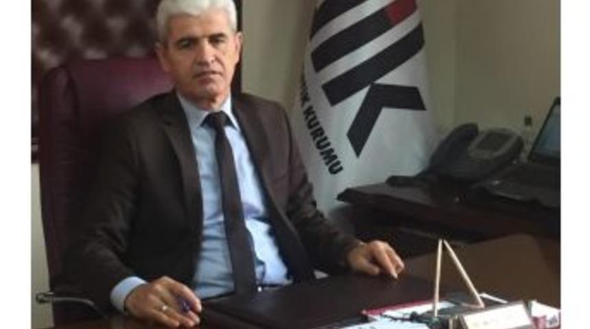 K&uuml;tahya&rsquo;da 2016 Yılında 12 Bin 418 Ton Erik &Uuml;retimi Ger&ccedil;ekleşti