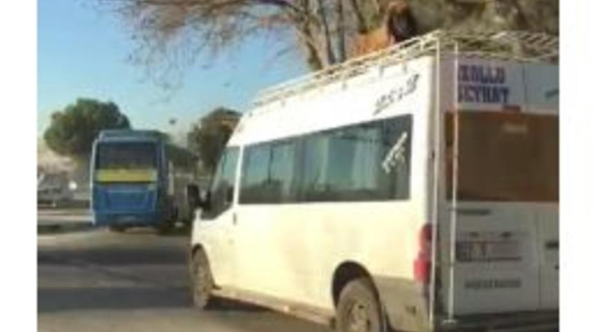 Minib&uuml;s&uuml;n &Uuml;st Bagajında Koyun Taşıdılar