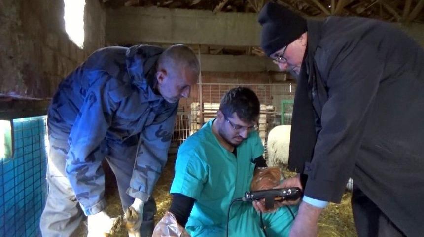 Koyunlara Ultrasonlu Doğum Gebeliği Kontrolü