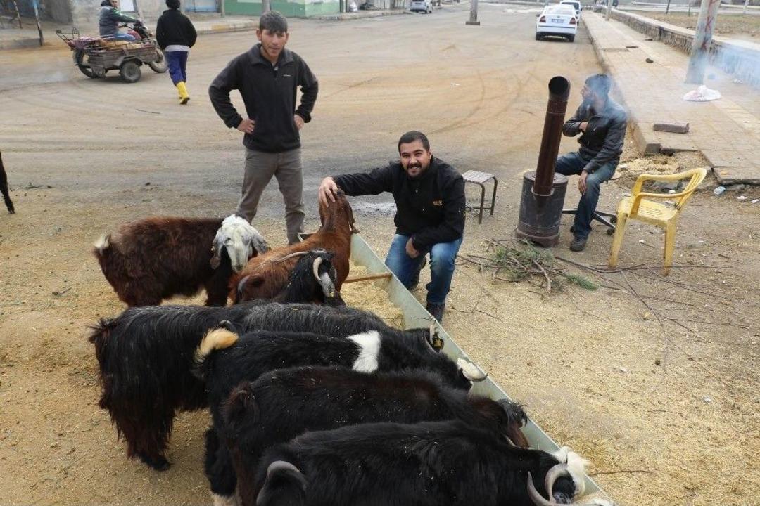 Twitterda 1 Milyon Takip&ccedil;iye Ulaştı, Kurban Kesti