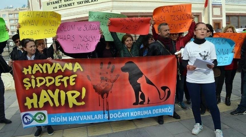 Didim&rsquo;de Hayvanseverler Artan Şiddete Dikkat &Ccedil;ekti