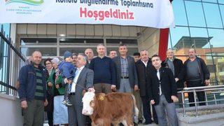 Tarım Müdürlüğünden ‘buzağı Ölümlerinin Nedenleri Ve Önlenmesi’ Toplantısı