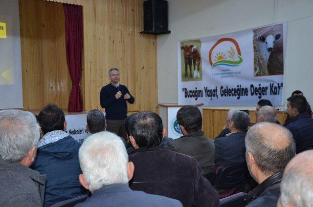 Tarım Müdürlüğünden ‘buzağı Ölümlerinin Nedenleri Ve Önlenmesi’ Toplantısı