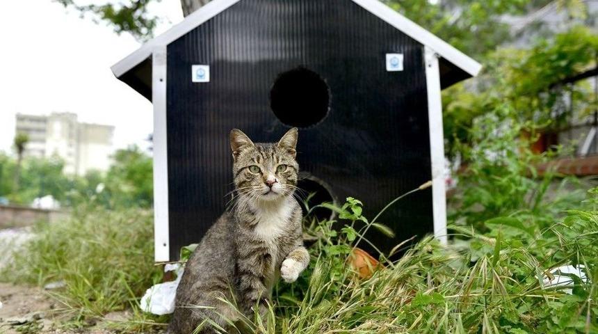 Yıldırım&rsquo;da Can Dostlarına Sıcak Yuva