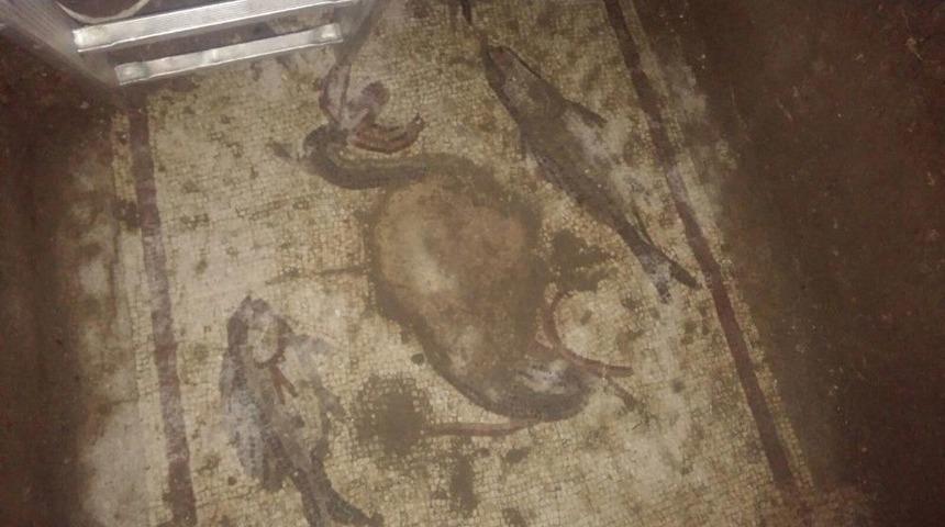 Tarsus’taki Kaçak Kazıdan Balık Ve Kuşlu Mozaik Çıktı