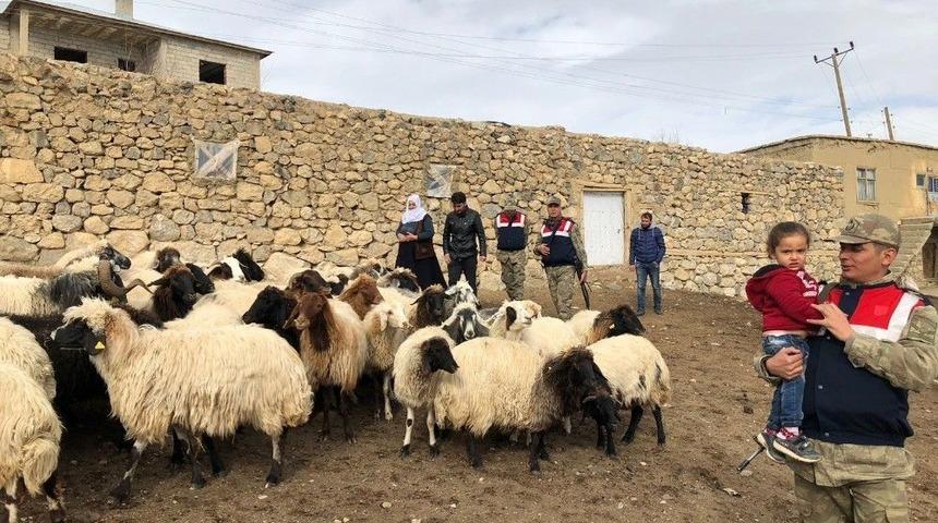 Jandarma-vatandaş El Ele