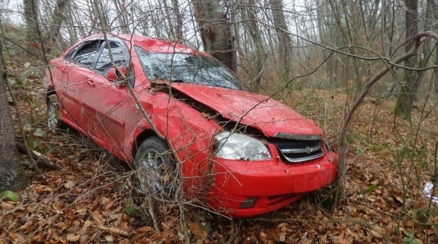 Otomobil Ormana U&ccedil;tu: 1 Yaralı