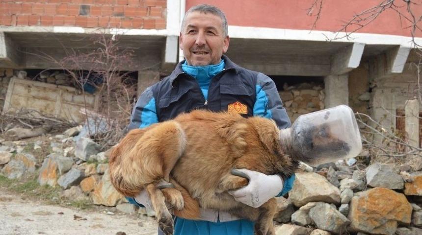 Kafasına Bidon Sıkışan K&ouml;pek İ&ccedil;in Operasyon