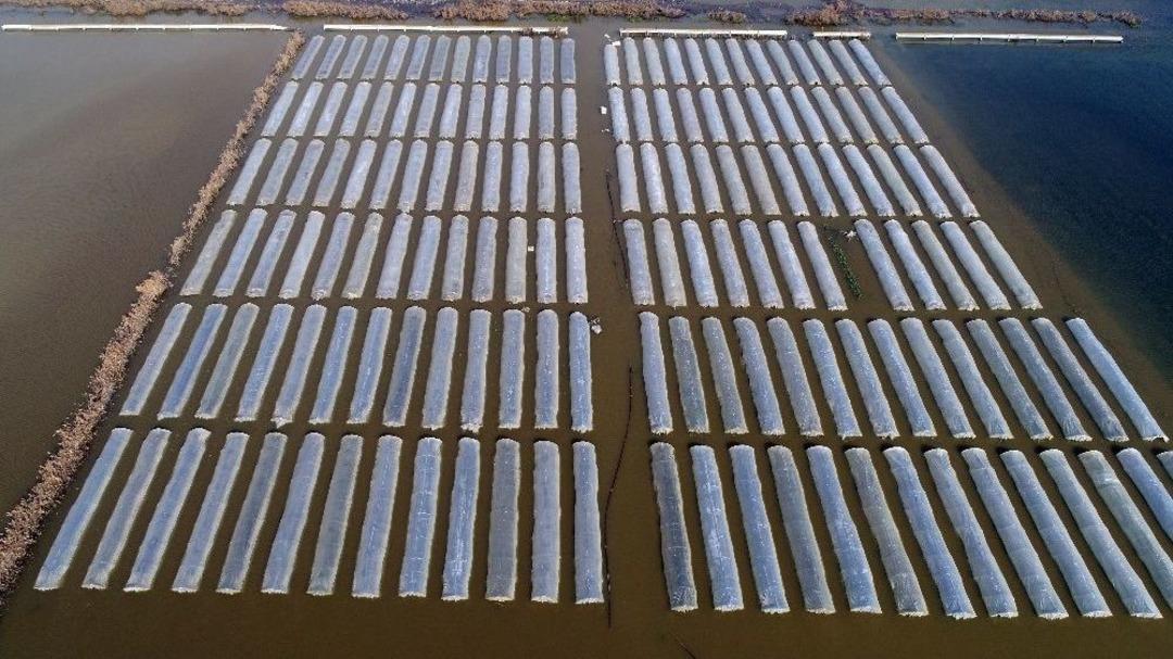 T&uuml;rkiye&rsquo;nin Meyve Sebze Deposu Tarsus, Selin Yaralarını Sarıyor